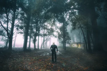 Homem Solitário na Floresta Ennevoada