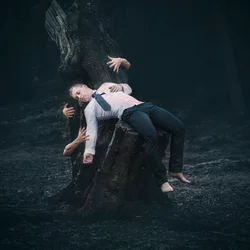 Sono na Floresta Surreal