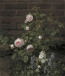 Uma roseira de musgo cercada por flores de verão