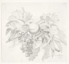 Uvas e pêssegos