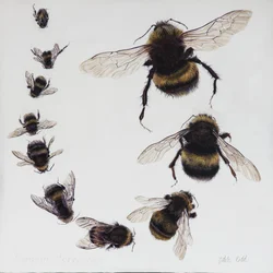 Bombus, 2015 (acrílico sobre madeira revestida a gesso)