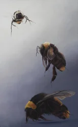 Voo de Bombus 2, 2011 (acrílico sobre madeira)
