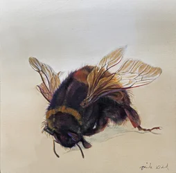 Bombus terrestris 10, 2013 (acrílico sobre madeira)