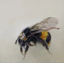 Bombus terrestris 1 (a), 2008 (acrílico sobre madeira)