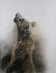 Grizzly bear 3, 2009 (carvão, conte e giz pastel sobre papel Fabriano)