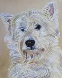 Hamish, 2011 (acrílico sobre madeira)