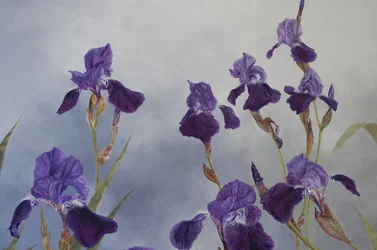 Iris hybrida (pormenor), 2015 (acrílico sobre madeira revestida a gesso)