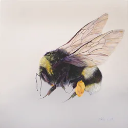 Saco de pólen 2, 2011 (acrílico sobre madeira)