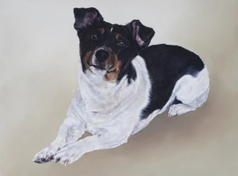 Spike, 2012 (acrílico sobre madeira)