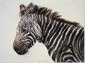 Zebra, 2002 (carvão e giz)