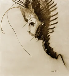 O dragão