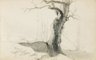 Desenho de um álbum intitulado "The Basque Country", 1862-63