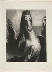 A asa