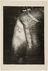 Perfil da Luz