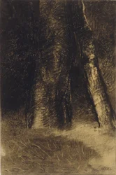 Esboço de árvores