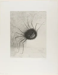 Aranha