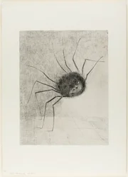 Aranha
