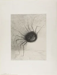 Aranha