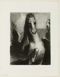 A asa
