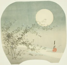 Lua cheia e flores de outono pelo córrego