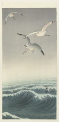 Três gaivotas
