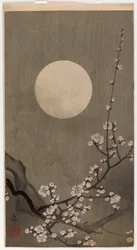 Ameixa de flor e lua (impressão de woodblock de cor)