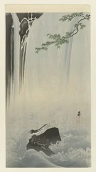 Alvéola japonesa na cachoeira