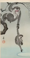 Macaco e bebê alcançando o reflexo da lua