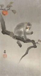Macaco em uma árvore frutífera, 1900-30 (cor xilogravura)