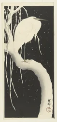 Garça na neve