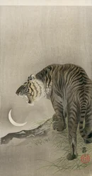 Tigre rugido e lua crescente