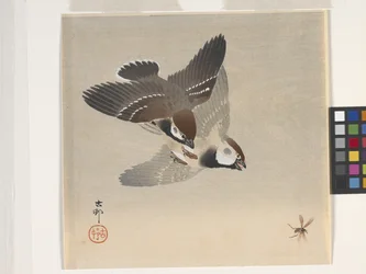 Sparrows Chasing Flying Insect (impressão em bloco de madeira a cores)