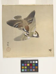 Pardais que perseguem insectos voadores (tinta e cor na seda)