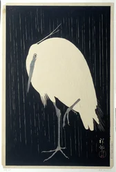 Egret à chuva