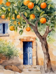 Casa da Laranjeira