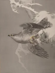 Falcão segurando um pequeno pássaro, ca. 1891-92.