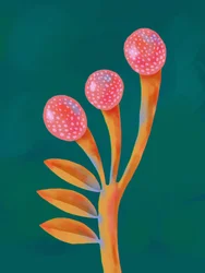 Planta Fantástica e Caprichosa