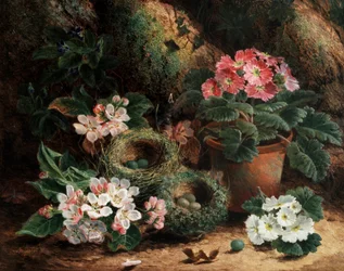 Flores de macieira e prímulas. Pintura de Oliver Clare (cerca de 1853-1927) Coleção particular.