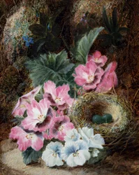Natureza morta com ninho de pássaro e violetas. Pintura de Oliver Clare (cerca de 1853-1927) Coleção particular.