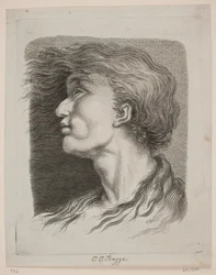 Retrato masculino com cabelo esvoaçante