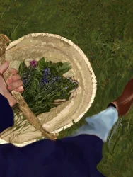 Cesto de flores silvestres