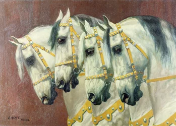 Cabeças de quatro cavalos