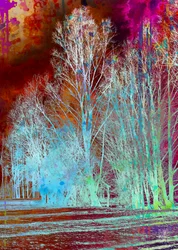 Floresta surreal e colorida