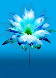 Flor azul vibrante