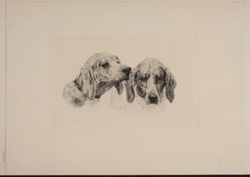 Duas cabeças de cachorro