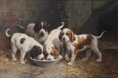 Filhotes de São Bernardo bebendo leite (óleo sobre tela)