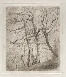 Árvores, 1878.