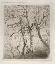 Madeiras à beira do lago, 1878.