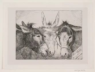 Três cabeças de burro
