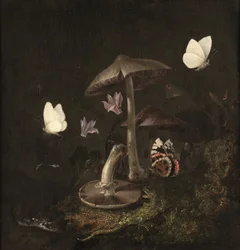 Um "sotto bosco" com cogumelos, borboletas, uma libélula, uma cobra e um lagarto (óleo sobre tela)